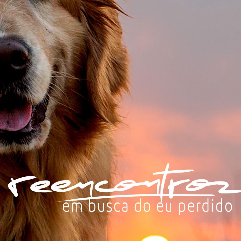 Reencontros - eBook